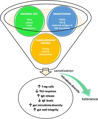 Current Insights on Early Life Nutrition and Prevention of Allergy